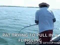 Fish Fishing GIF - Fish Fishing Big Catch GIFs