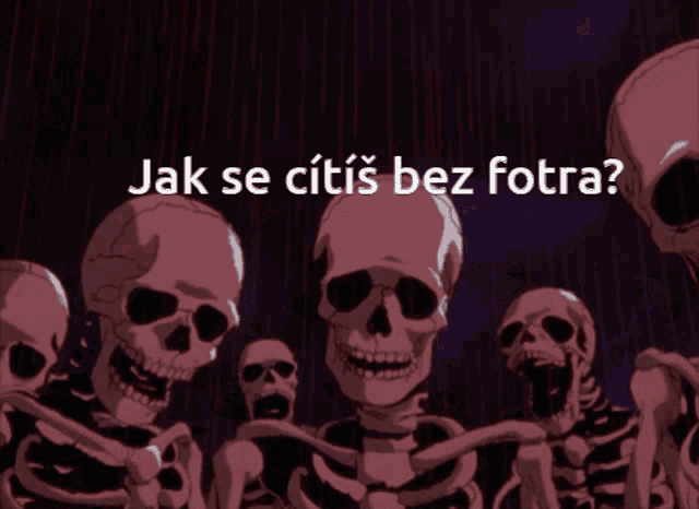 a group of skeletons standing next to each other with the words jak se citis bez fotra below them