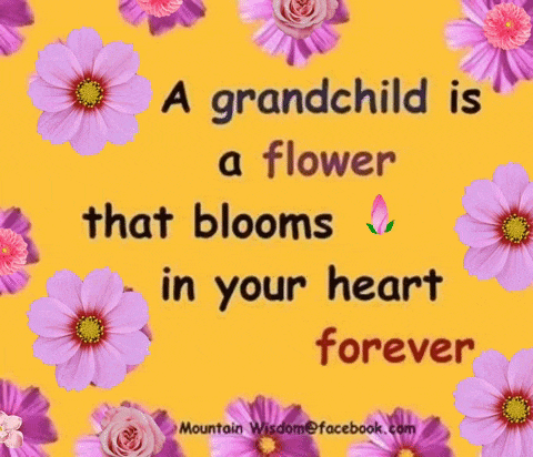 a yellow background with purple flowers and a quote that says a grandchild is a flower that blooms in your heart forever