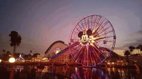 Disneyland Parks GIF - Disneyland Parks Disney GIFs