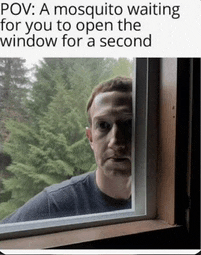 a man is looking out of a window with a mosquito waiting for him to open the window for a second
