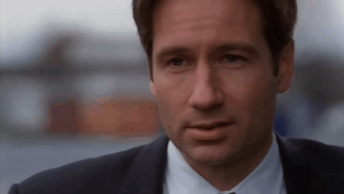 That'S My Opinion The Xfiles GIF - That'S My Opinion The Xfiles Mulder GIFs