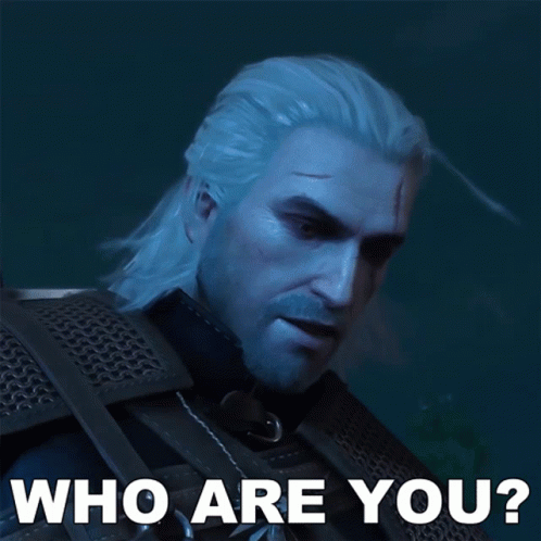 Who Are You Geralt Of Rivia GIF - Who Are You Geralt Of Rivia The Witcher GIFs