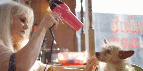 Pampered GIF - Pampered GIFs