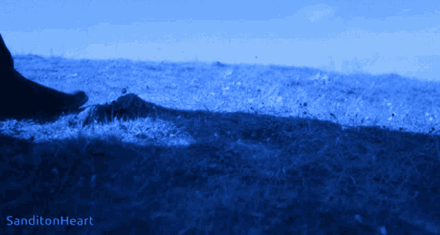 a blue background with sanditonheart written in the bottom right corner