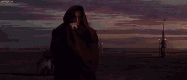 a person standing on a beach at sunset with the website scrawl.com visible in the corner