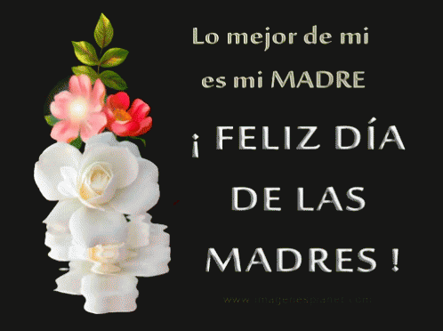 Madre Happy GIF - Madre Happy Mothers GIFs