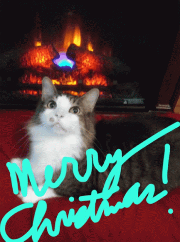 Merry Christmas Christmas Cat GIF - Merry Christmas Christmas Cat Christmas Fireplace GIFs