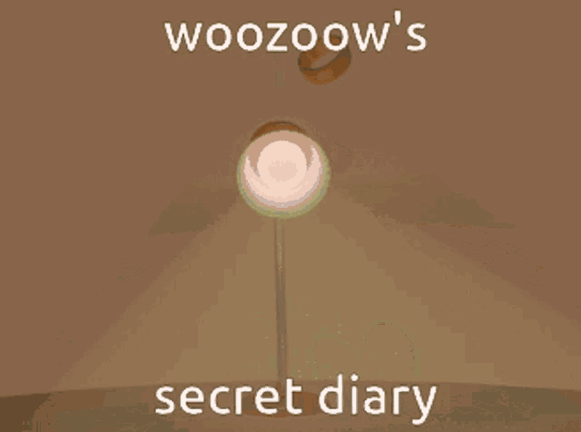 woozoow 's secret diary with a heart shaped ring on a book