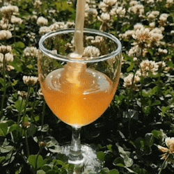 a glass of honey is being poured from a honey dipper