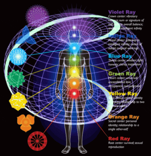 a diagram of a person 's chakras with the violet ray at the top