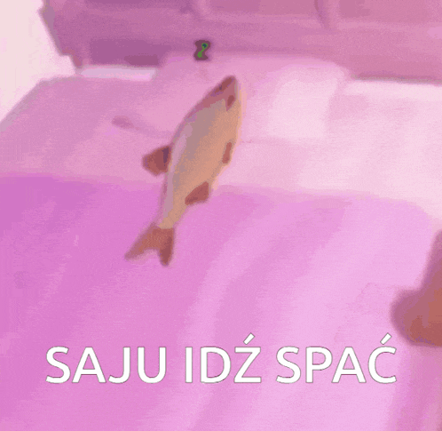 a fish is floating on top of a bed with the words saju idz spac written below it