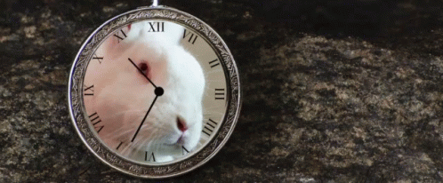 Time Change Bunny GIF - Time Change Bunny Clock GIFs