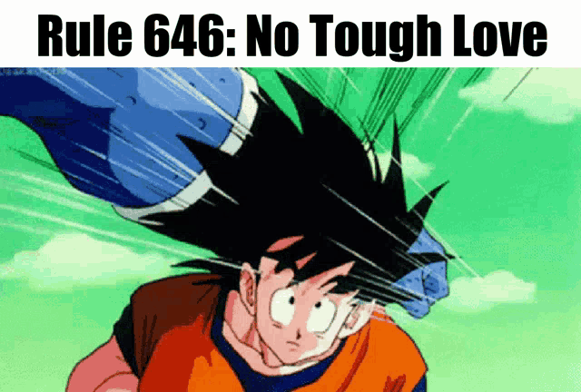 a picture of a cartoon character with the words rule 646 no tough love above him