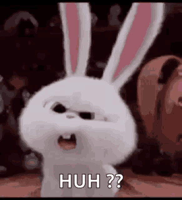 Huh Confused GIF - Huh Confused Funny GIFs