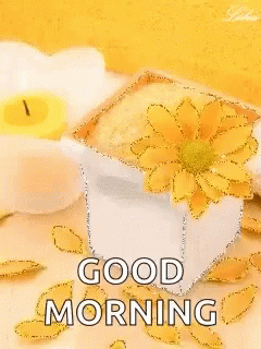 Yellow Flowers GIF - Yellow Flowers Good Morning GIFs