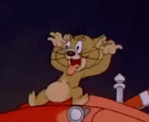 Funny Cat Tom And Jerry GIF - Funny Cat Tom And Jerry Teasing GIFs