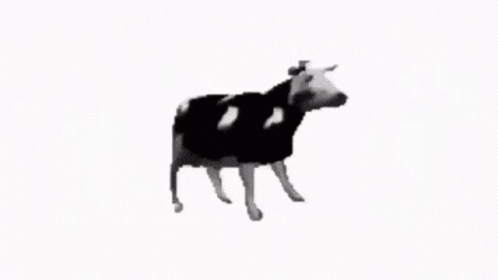Polish Cow GIF - Polish Cow GIFs