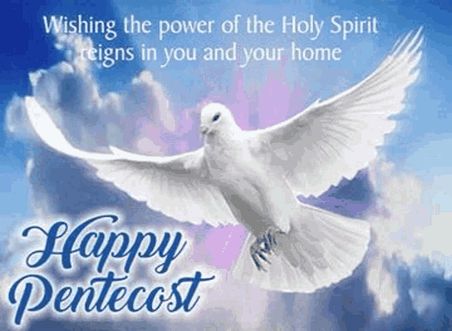 a white dove is flying in the sky on a happy pentecost card .