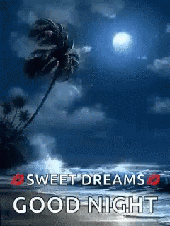 Good Night Sweet Dreams GIF - Good Night Sweet Dreams Ocean GIFs