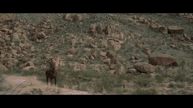 a man in a fur coat is walking through a desert .
