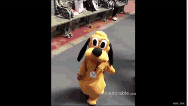 a picture of a stuffed animal dressed as pluto from disneyland