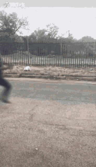 Middle Finger Flipping Off GIF - Middle Finger Flipping Off Running GIFs