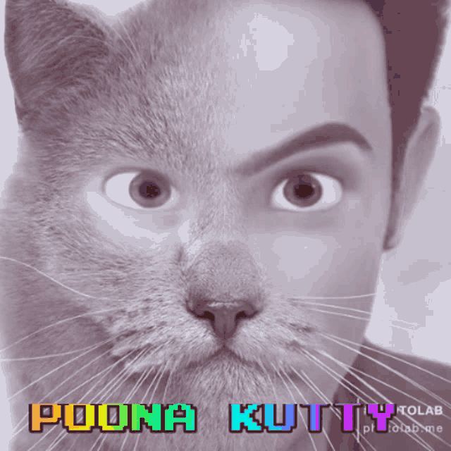 Cat Man Domi The Poonakutty GIF - Cat Man Domi The Poonakutty Indian Cat Man GIFs