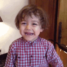 a little boy wearing a red and white plaid shirt is smiling