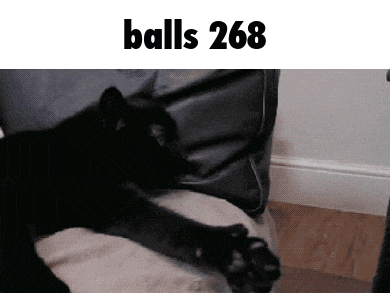 a black cat is laying on a couch with the words balls 268 written above it
