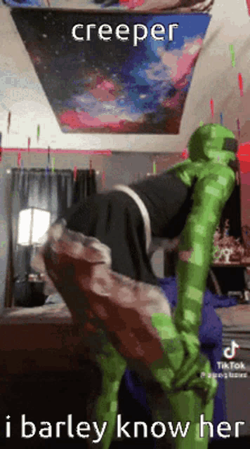 a person in a creeper costume is kneeling on a bed .