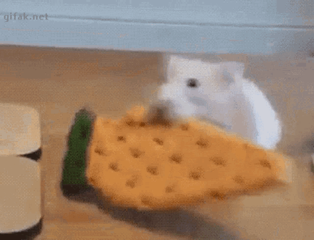 Hamster Dog GIF - Hamster Dog Carrot GIFs