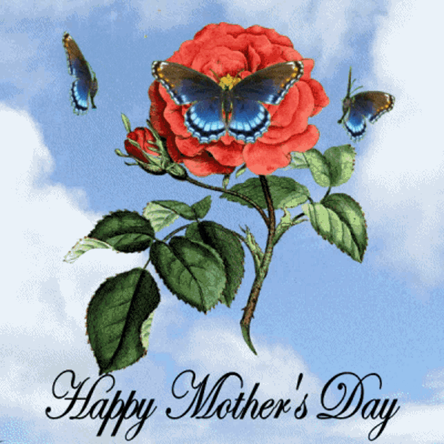 a happy mother 's day greeting card with a rose and butterflies