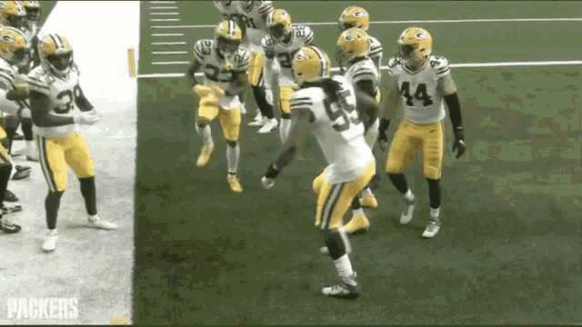 Packers Jaire GIF - Packers Jaire Alexander GIFs