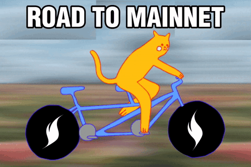 Road Bicycle GIF - Road Bicycle Cat GIFs