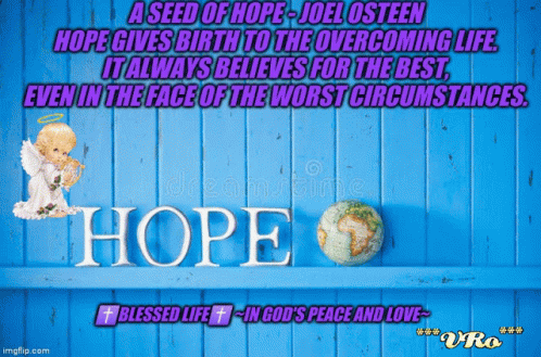Hope A Seed Of Home GIF - Hope A Seed Of Home Hope Gives Birth GIFs
