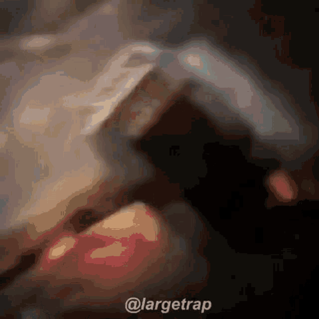 a blurred image of a person reading a book with the hashtag @largetrap at the bottom