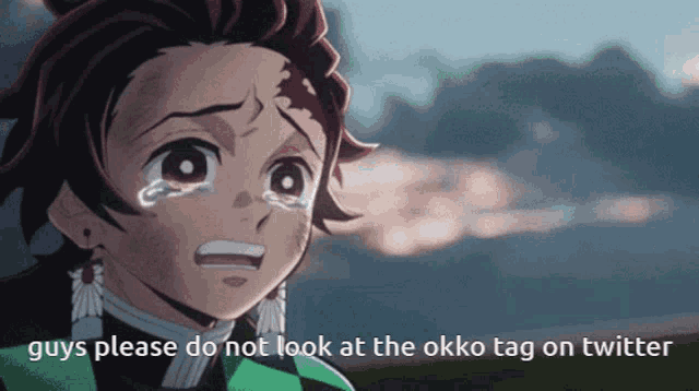 a crying anime character with the words guys please do not look at the okko tag on twitter below him