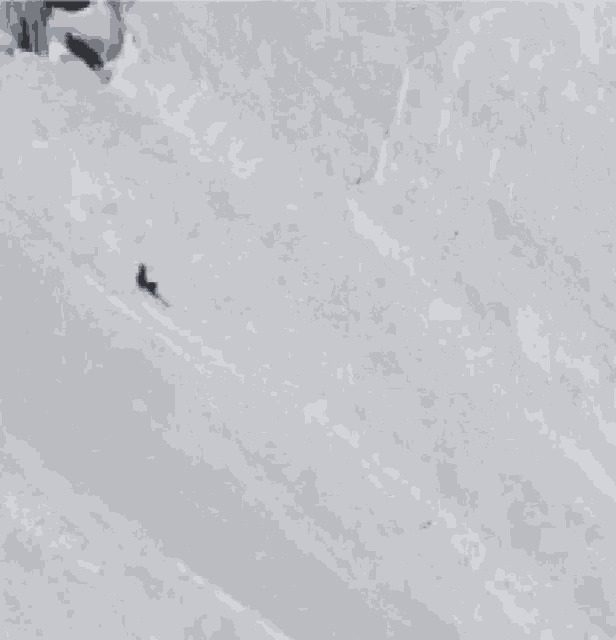 Skier Fall GIF - Skier Fall Skiing GIFs