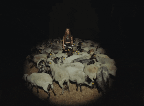 a woman stands in the middle of a herd of sheep in a dark room
