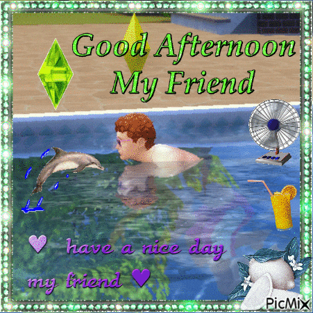 a picture of a man in a pool with a dolphin says good afternoon my friend