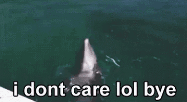 a dolphin is jumping out of the water in the ocean with the words `` i dont care lol bye '' .