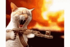 a cat is holding a gun in front of a fire