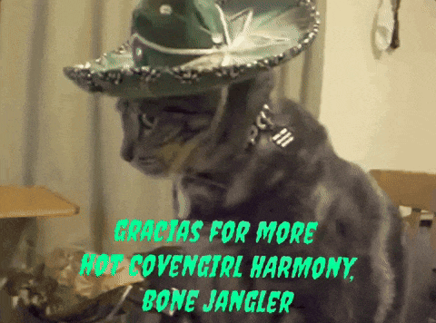 a cat wearing a sombrero says gracias for more hot covengirl harmony