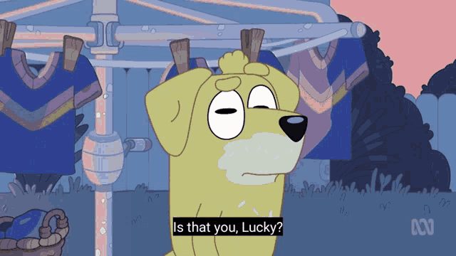 a cartoon dog says " is that you lucky " in front of a clothes line