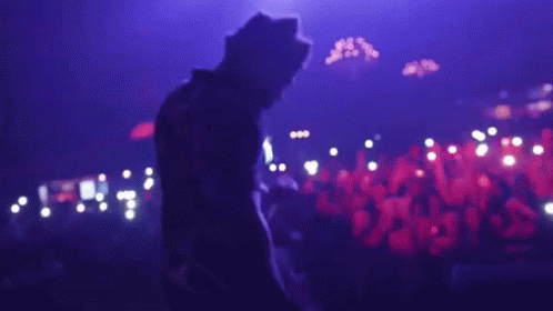 On Stage Performing GIF - On Stage Performing Concert GIFs