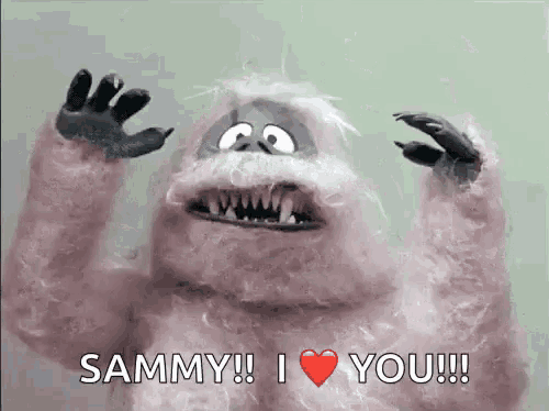 a stuffed animal says sammy i love you !