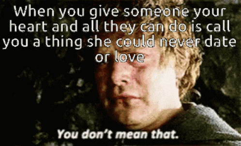 Lord Of The Rings You Dont Mean That GIF