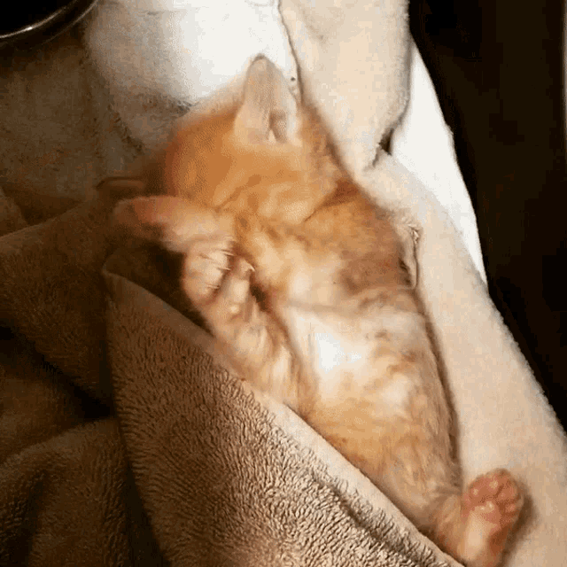 Relaxed Sweet GIF - Relaxed Sweet Dreams GIFs