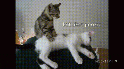 two cats are laying on top of each other with the words but akse pookie above them